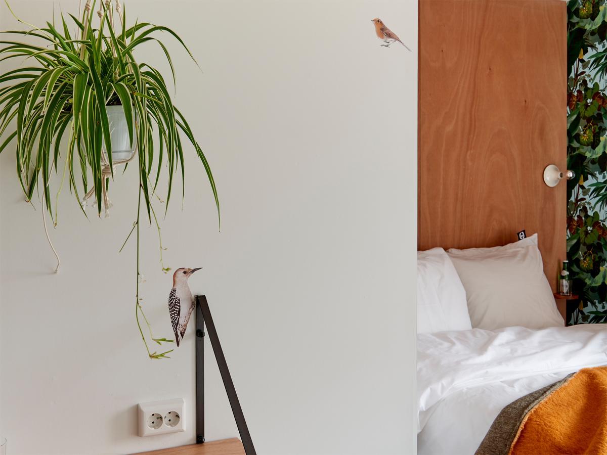 Double Room Balcony,517896555:JPEG
